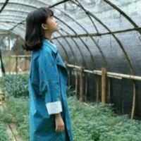 夢你七年還是夢的頭像