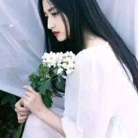 抛昨拾今的头像