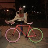 森冉的头像