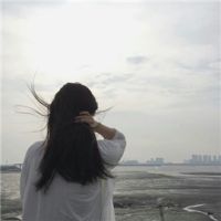 顾本无源的头像