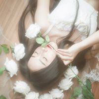 半自由的头像