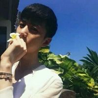 華麗的淩亂的頭像