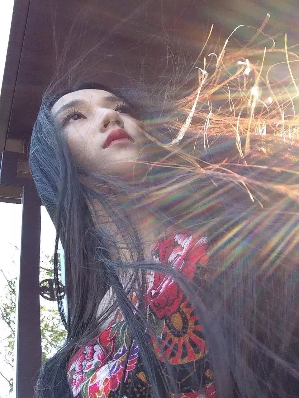 他是泡沫一触就破的头像