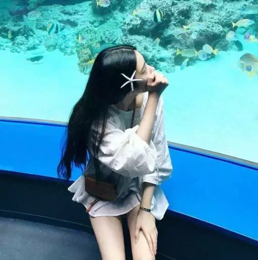 我姓董我心懂的頭像