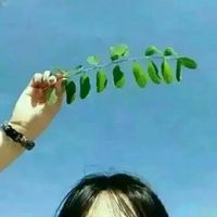 神偷的头像