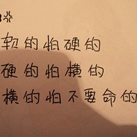 双鱼单鸟的头像