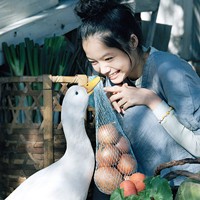 南柚的头像