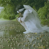 瑾年目色韶华光年的头像
