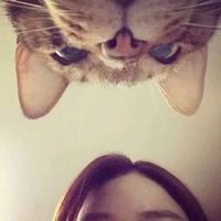 余音未散的头像