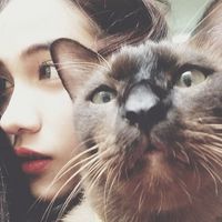 再難遇見的頭像