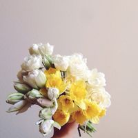 添新衣的頭像