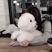 眼前时的头像