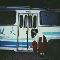 尚未的頭像