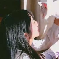 弗迪的头像