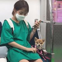 旧友一份未接来电的头像