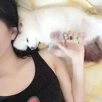 心是仇敌的头像
