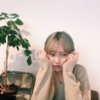 Dalao的头像