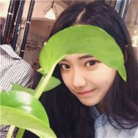暖优的头像