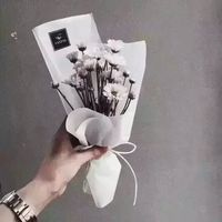 清风马宿的头像