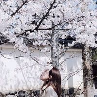 熟悉眼眸的头像